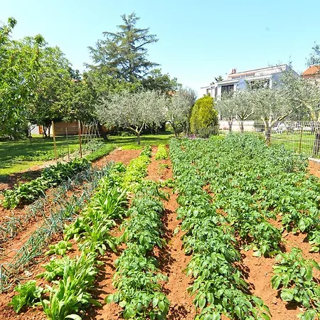 Apartment Mira 667 *