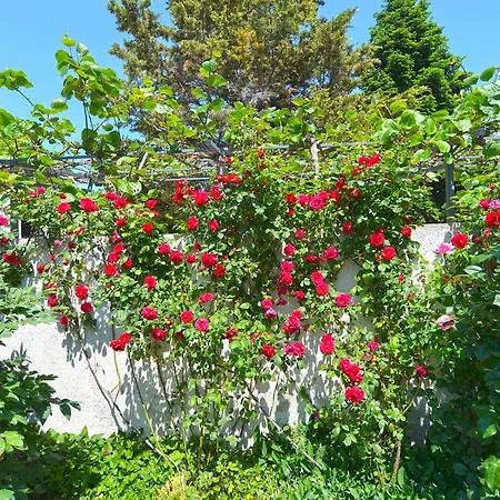 Apartment Mira 667 Medulin