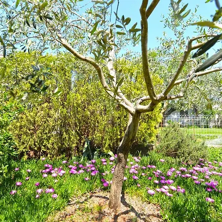 Apartment Mira 667 Medulin